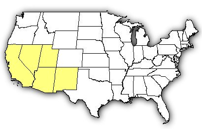 Map of US states the Arizona Bark Scorpion is found in.