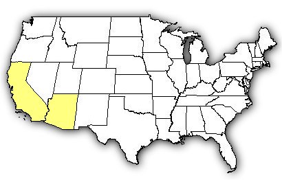 Map of US states the Colorado Desert Sidewinder is found in.