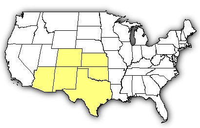 Map of US states the Desert Massasauga is found in.