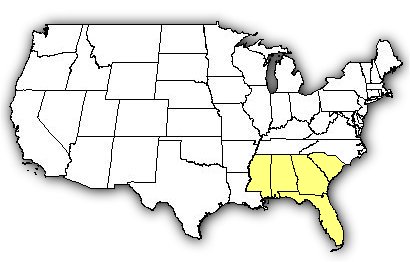 Map of US states the Dusky Pygmy Rattlesnake is found in.