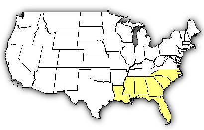 Map of US states the Eastern Diamondback Rattlesnake is found in.