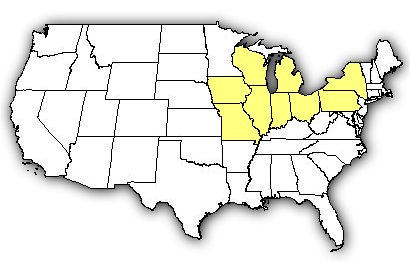 Map of US states the Eastern Massasauga is found in.