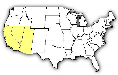 Map of US states the Mojave Desert Sidewinder is found in.