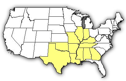 Map of US states the Western Cottonmouth is found in.