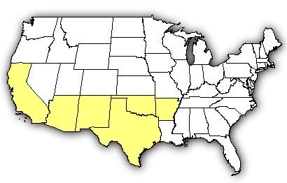 Map of US states the Western Diamondback Rattlesnake is found in.