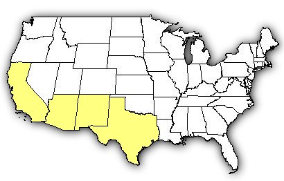 Map of US states the Arizona Recluse is found in.