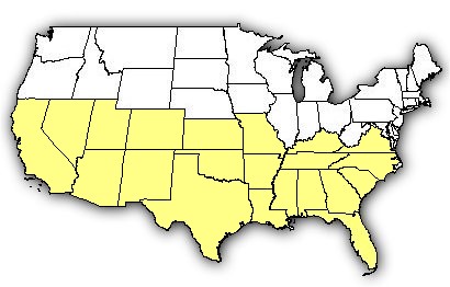 Map of US states the Brown Widow is found in.
