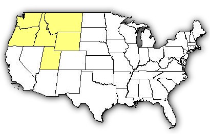 Map of US states the Hobo Spider is found in.